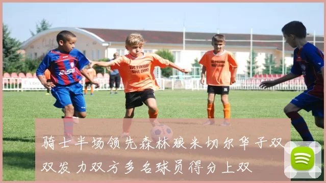 骑士半场领先森林狼米切尔华子双双发力双方多名球员得分上双