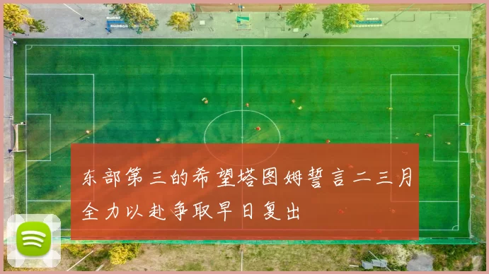 东部第三的希望塔图姆誓言二三月全力以赴争取早日复出